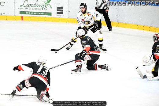 2024-10-19 Mastini Varese-Hockey Feltre 02657 Marcello Borghi